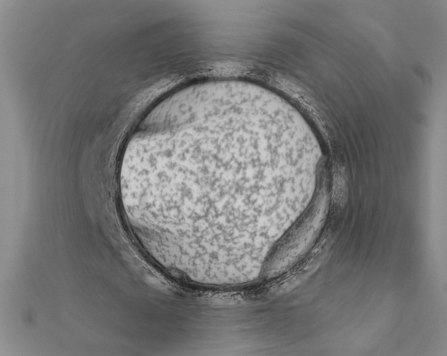 X0000111670673200908141429