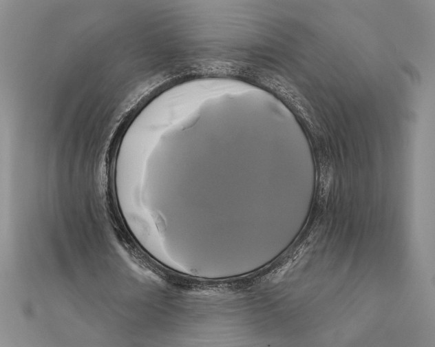 X0000111670674200908141429