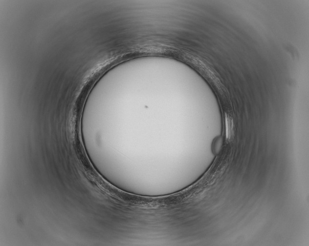 X0000111670675200908141429