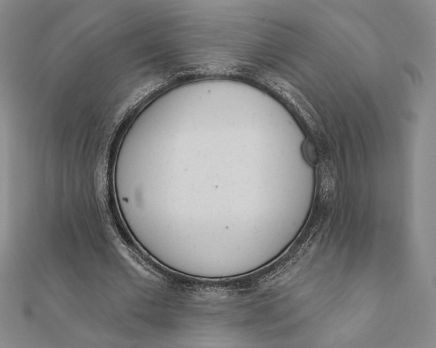 X0000111670677200908141429