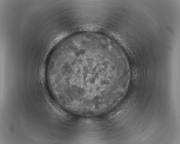 X0000111670679200908141429