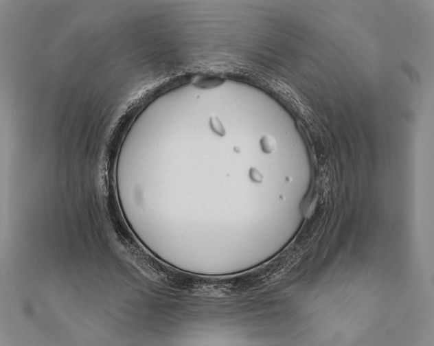 X0000111670680200908141429