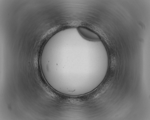 X0000111670681200908141429