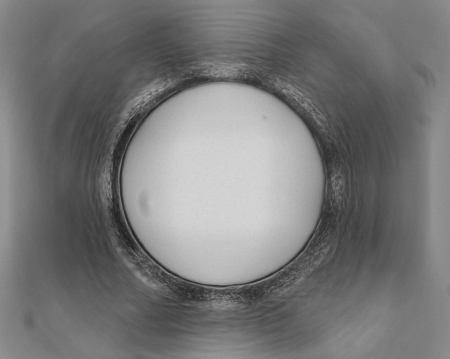 X0000111670682200908141429