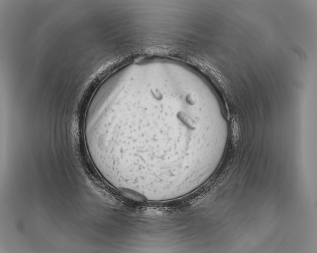 X0000111670684200908141429