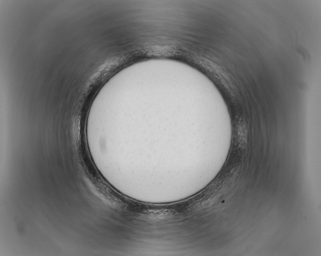 X0000111670686200908141429