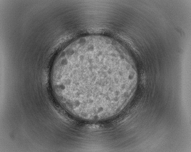 X0000111670687200908141429