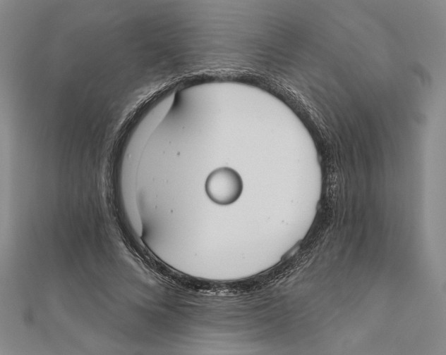 X0000111670688200908141429