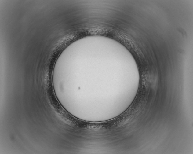 X0000111670690200908141429