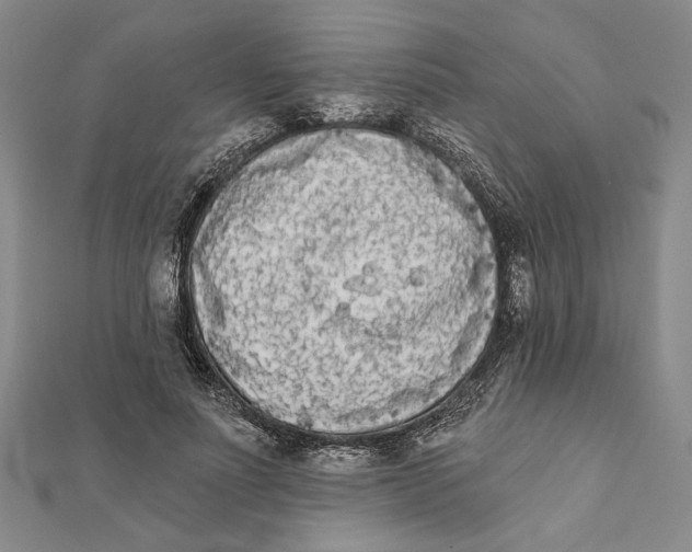 X0000111670691200908141429