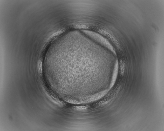 X0000111670692200908141429