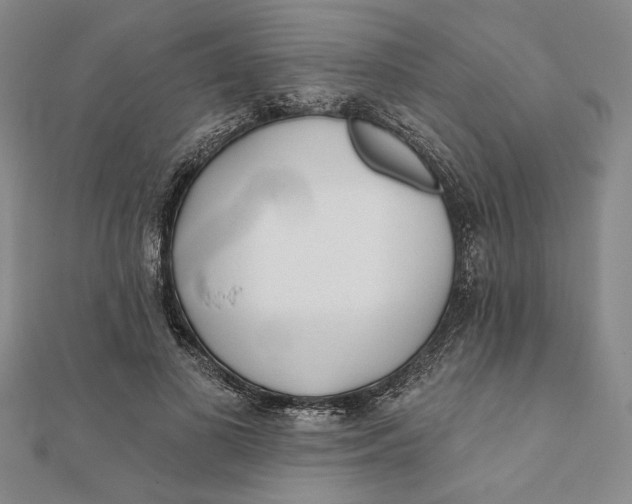 X0000111670693200908141429