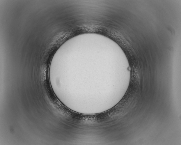 X0000111670694200908141429