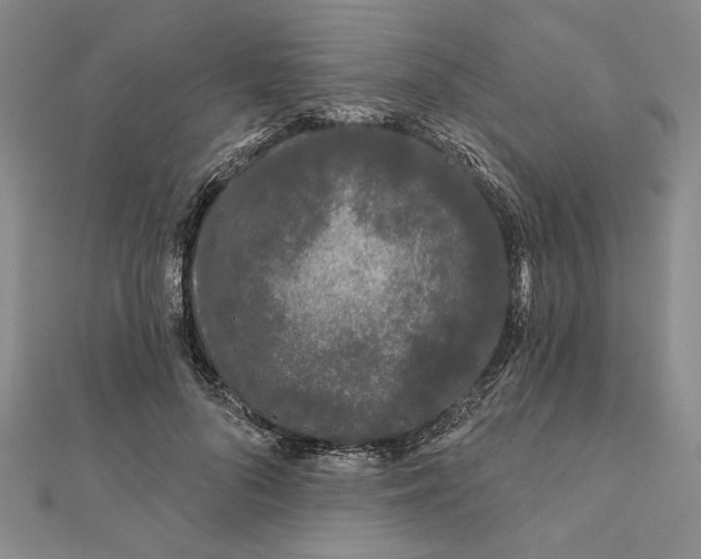 X0000111670696200908141429