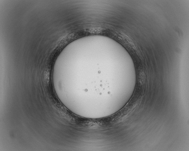 X0000111670697200908141429