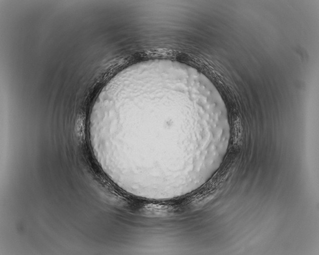 X0000111670699200908141429