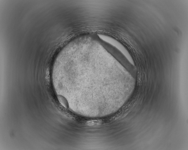 X0000111670700200908141429