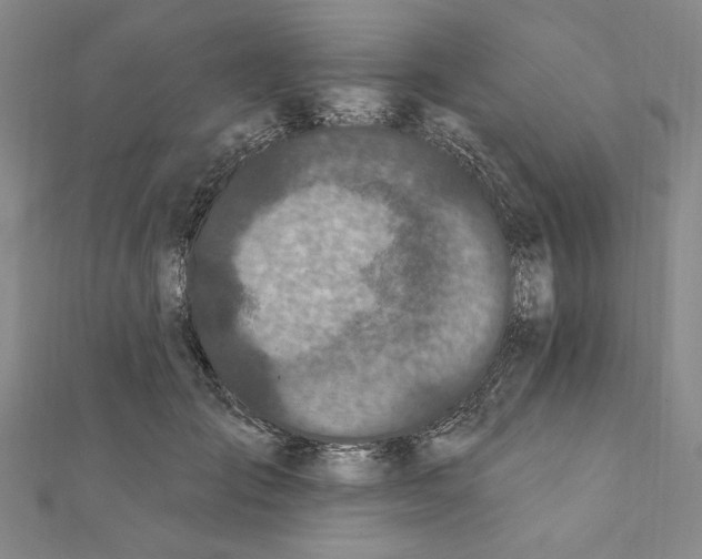 X0000111670701200908141429