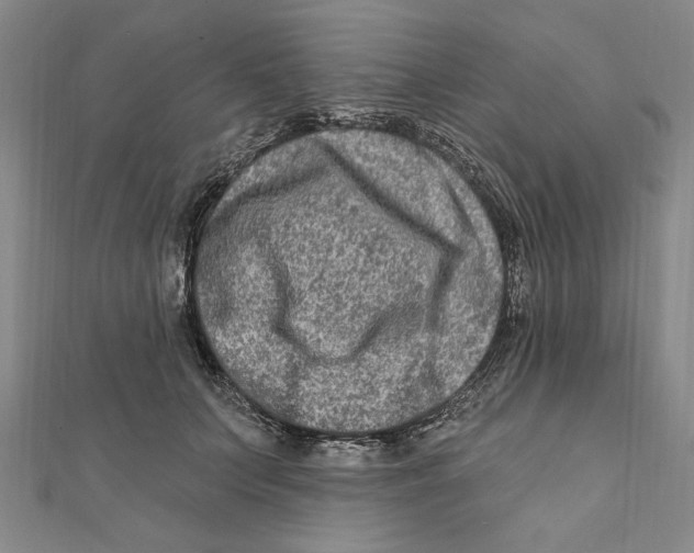 X0000111670703200908141429