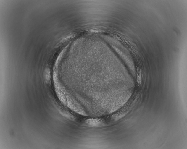 X0000111670704200908141429