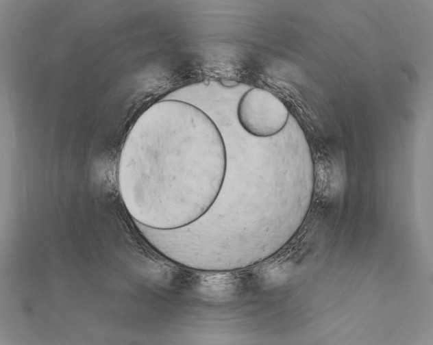 X0000111670705200908141429