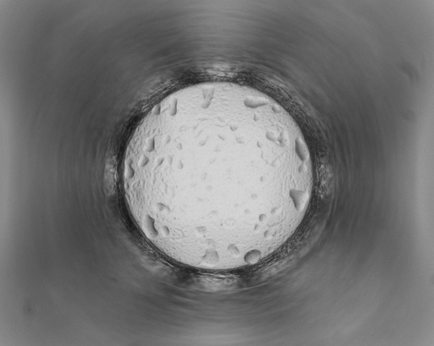 X0000111670707200908141429