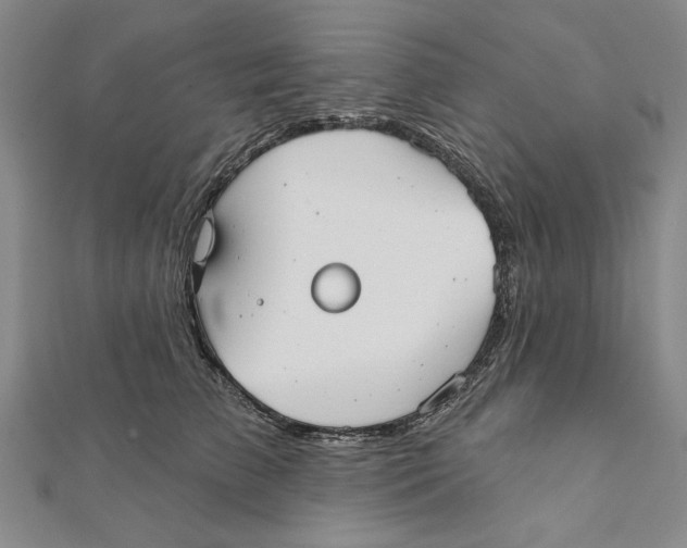 X0000111670709200908141429