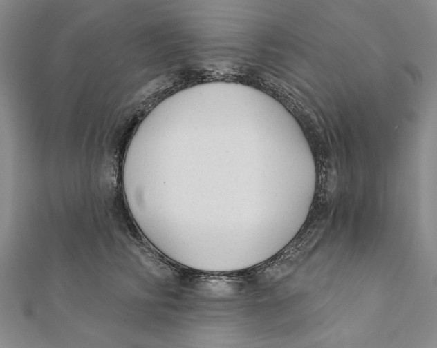 X0000111670710200908141429