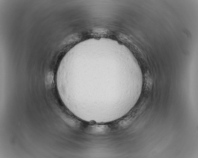 X0000111670711200908141429