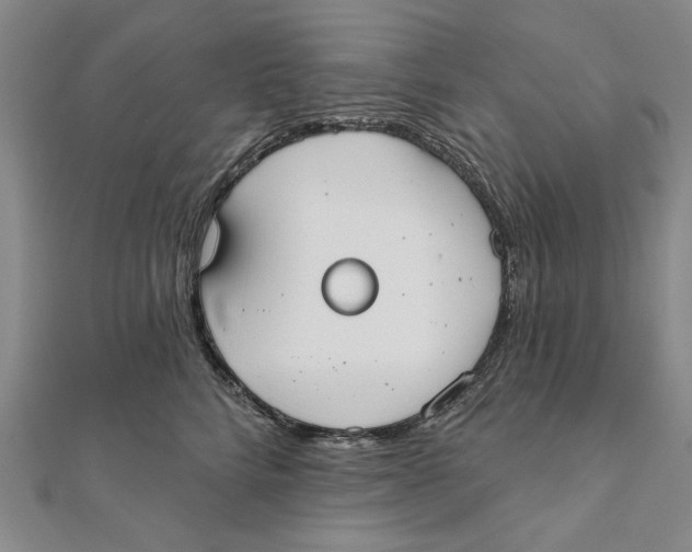 X0000111670712200908141429