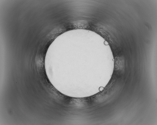 X0000111670713200908141429