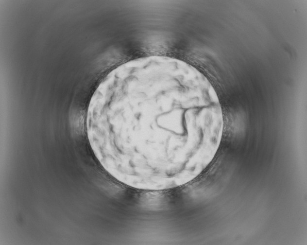 X0000111670717200908141429