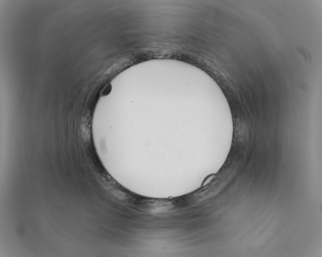 X0000111670719200908141429