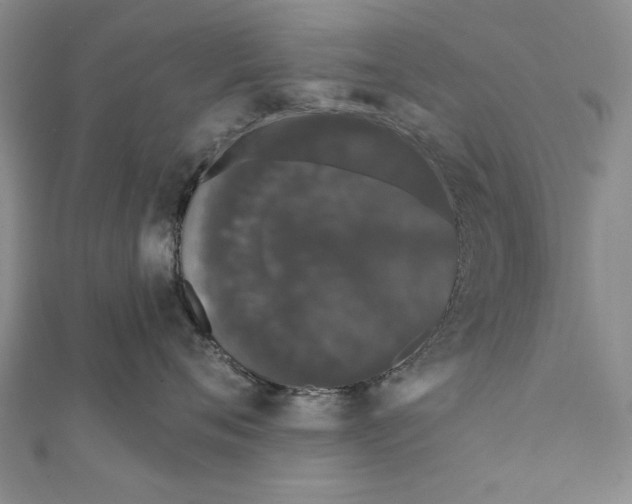 X0000111670720200908141429