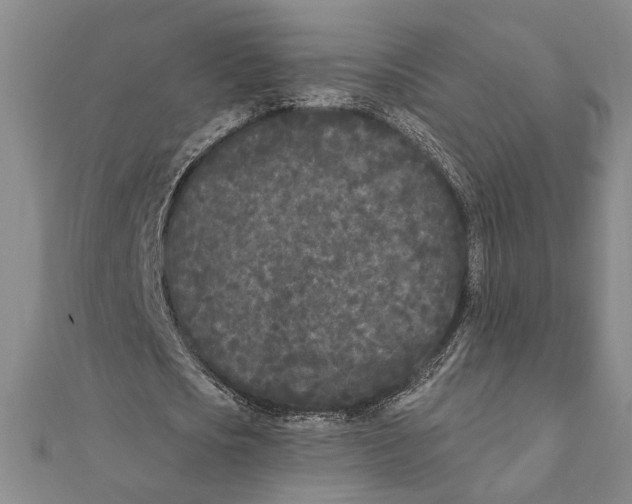 X0000111670721200908141428