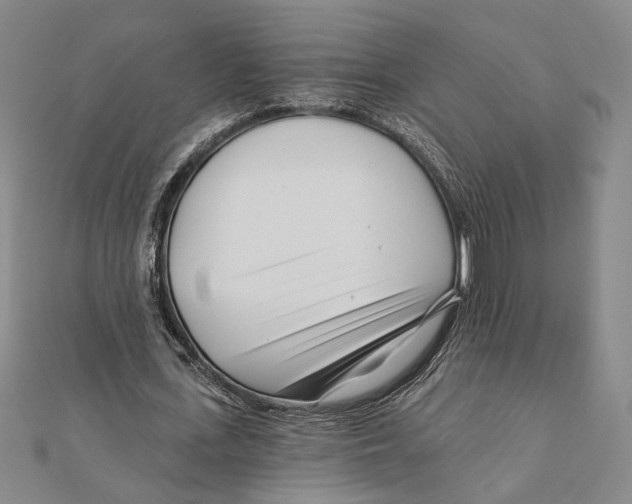 X0000111670723200908141428