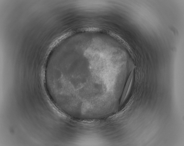 X0000111670725200908141428