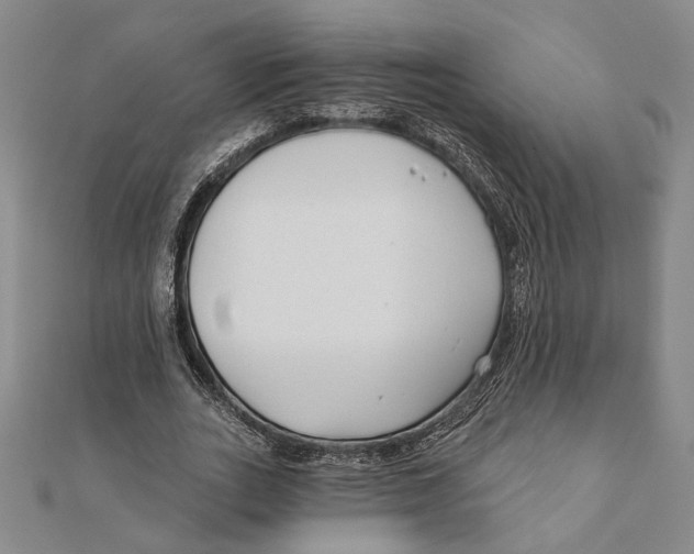 X0000111670727200908141428