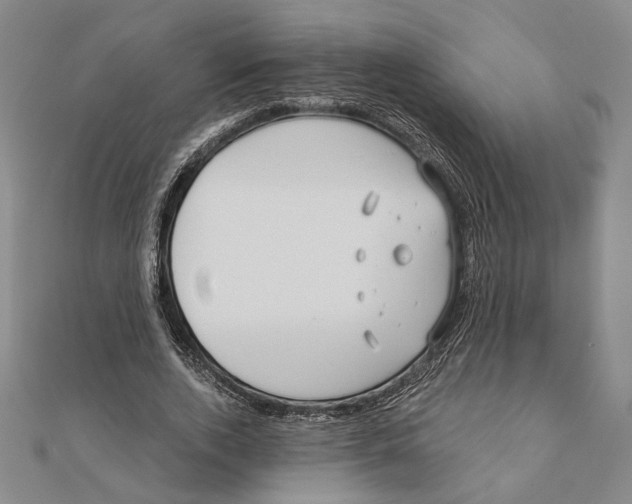 X0000111670728200908141428