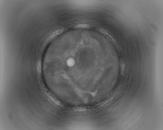 X0000111670729200908141428