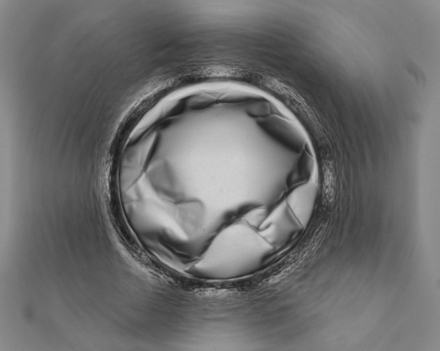 X0000111670730200908141428