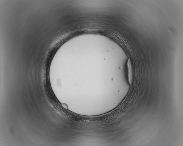 X0000111670732200908141428