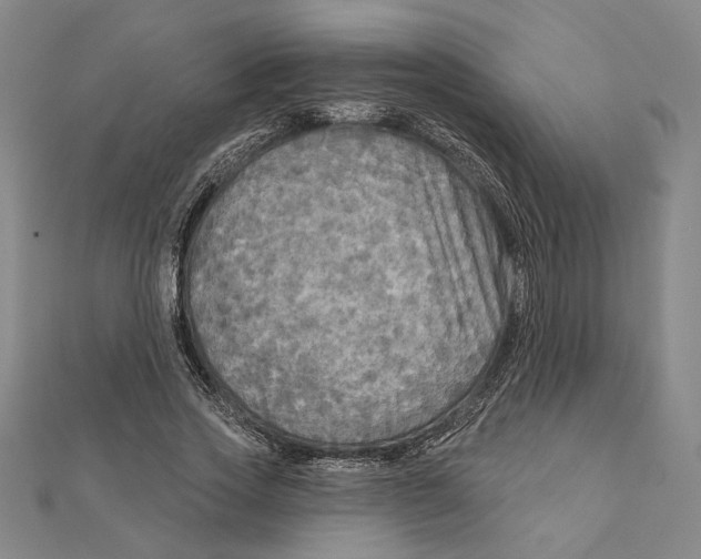 X0000111670733200908141428