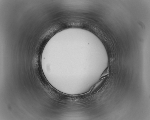 X0000111670735200908141428