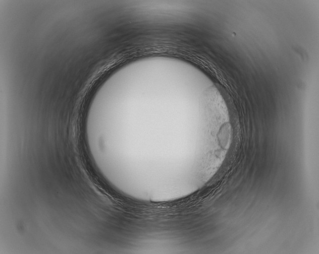 X0000111670736200908141428