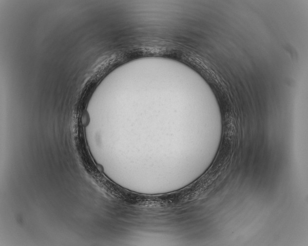 X0000111670738200908141428