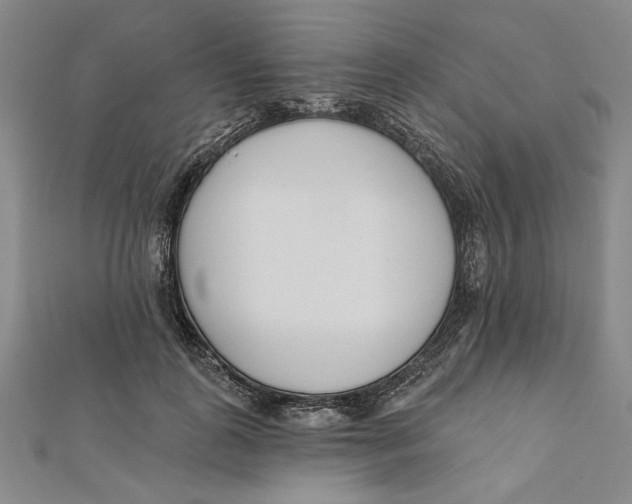 X0000111670747200908141428