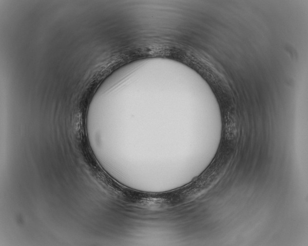 X0000111670748200908141428