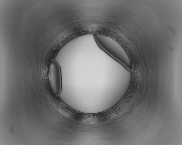 X0000111670750200908141428