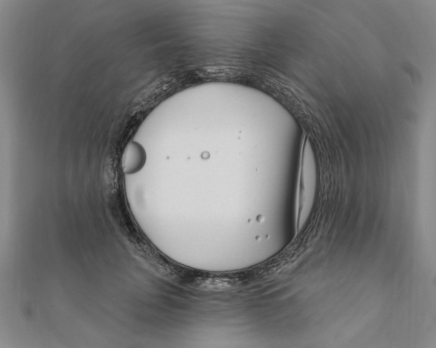 X0000111670751200908141428